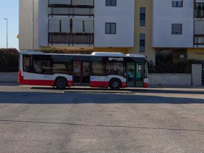 C�� poi il grande problema dei trasporti. Esiste un autobus (il n.19) che porta dal centro di Bari a Catino, ma incredibilmente non fa il percorso inverso